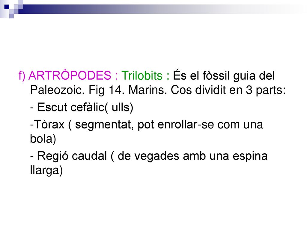 f) ARTRÒPODES : Trilobits : És el fòssil guia del Paleozoic. Fig 14