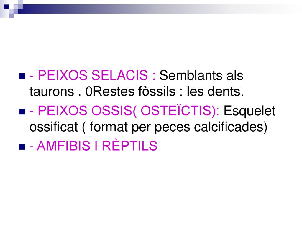 - PEIXOS SELACIS : Semblants als taurons . 0Restes fòssils : les dents.