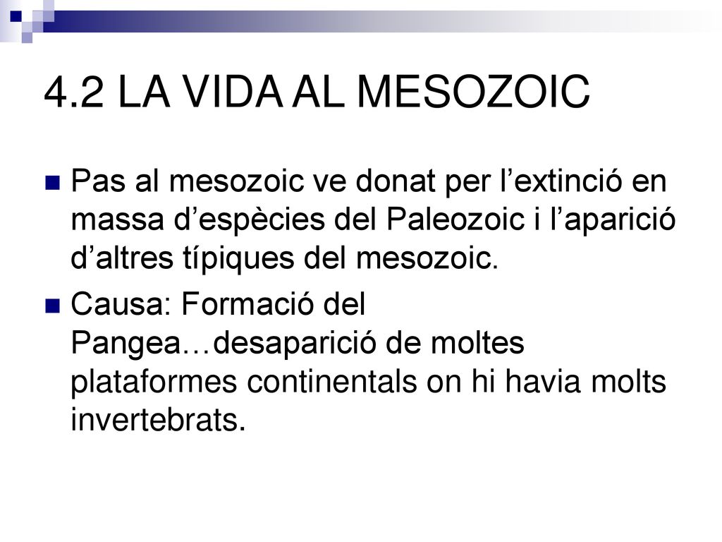 4.2 LA VIDA AL MESOZOIC Pas al mesozoic ve donat per l’extinció en massa d’espècies del Paleozoic i l’aparició d’altres típiques del mesozoic.