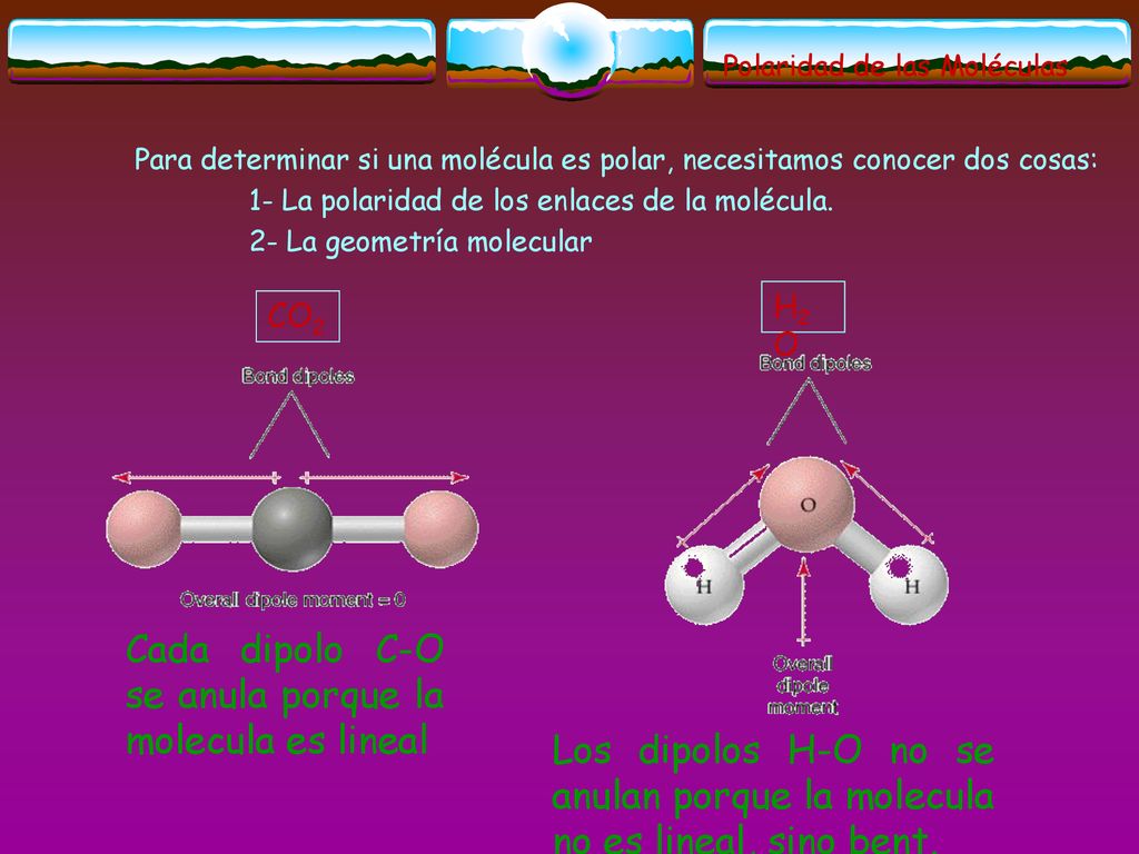Cada dipolo C-O se anula porque la molecula es lineal