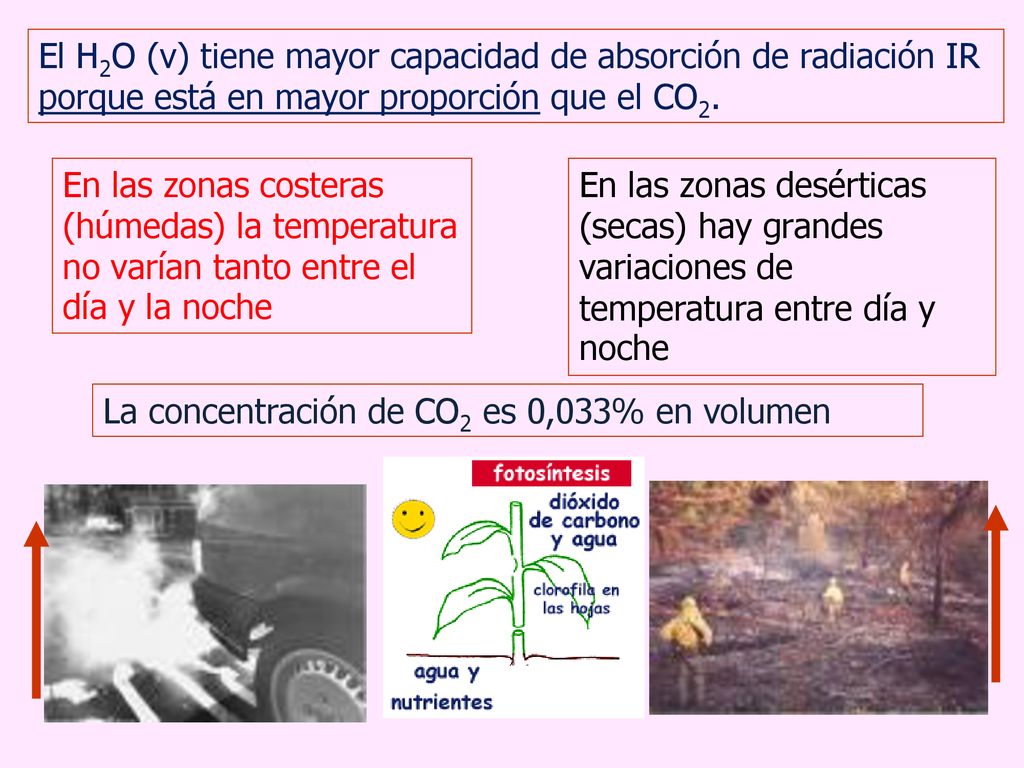 El H2O (v) tiene mayor capacidad de absorción de radiación IR porque está en mayor proporción que el CO2.