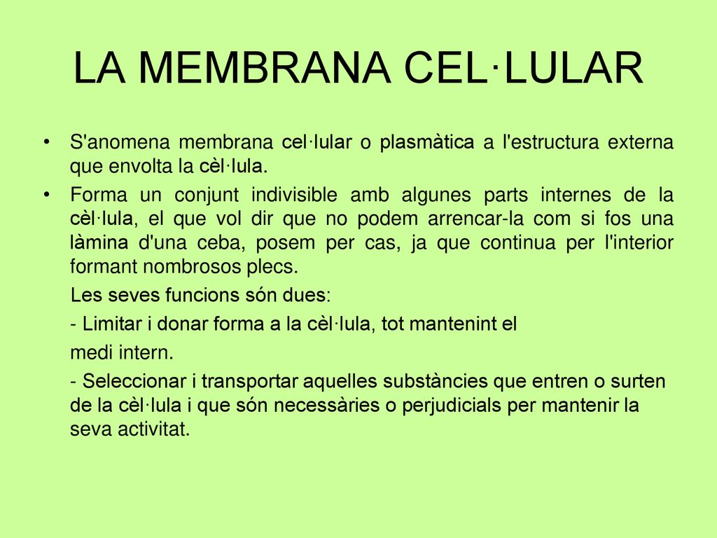 LA MEMBRANA CEL·LULAR S anomena membrana cel·lular o plasmàtica a l estructura externa que envolta la cèl·lula.
