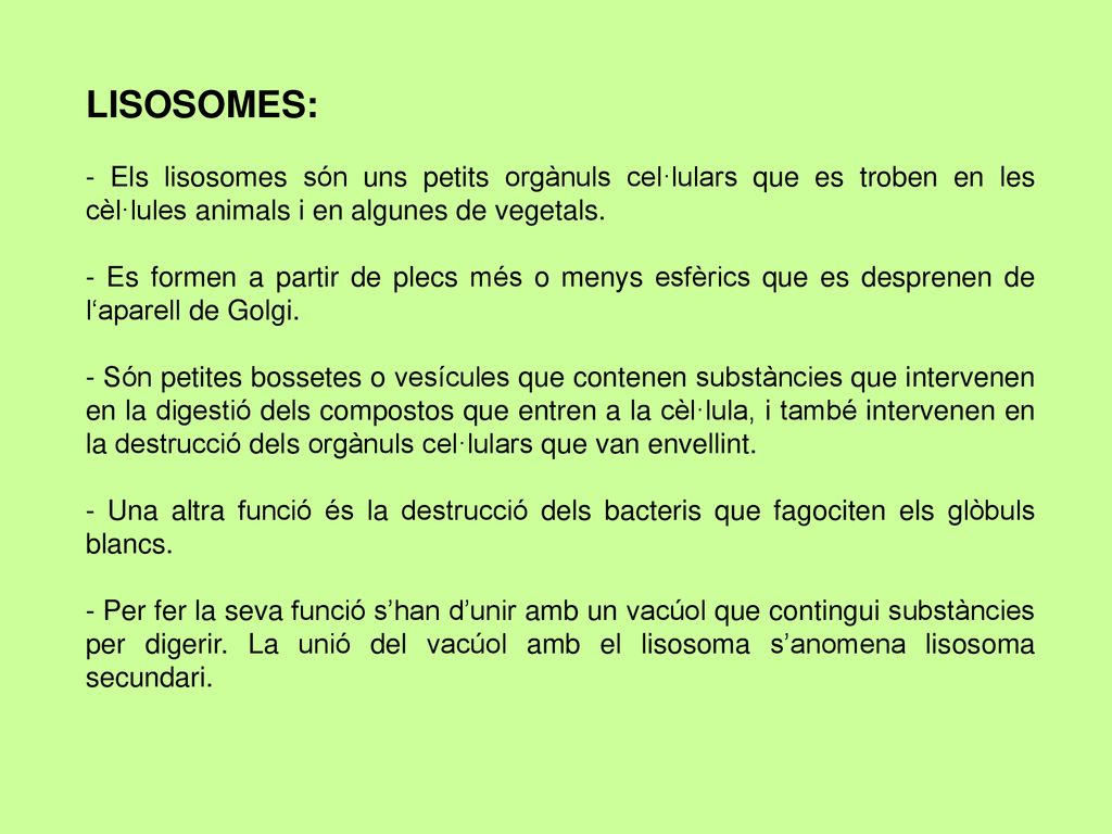 LISOSOMES: - Els lisosomes són uns petits orgànuls cel·lulars que es troben en les cèl·lules animals i en algunes de vegetals.