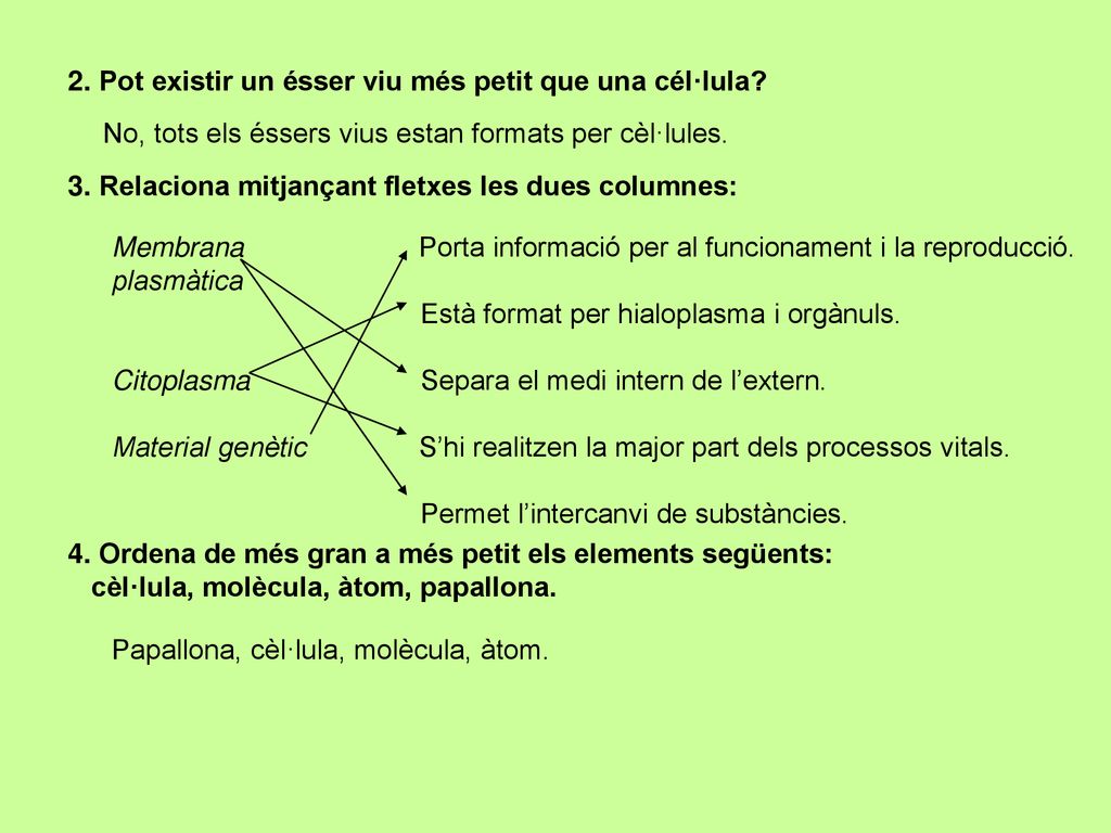 2. Pot existir un ésser viu més petit que una cél·lula