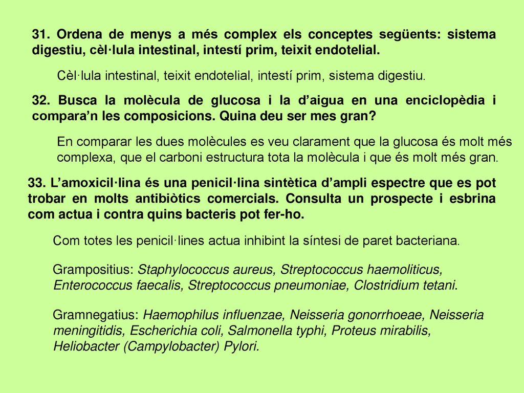 31. Ordena de menys a més complex els conceptes següents: sistema digestiu, cèl·lula intestinal, intestí prim, teixit endotelial.