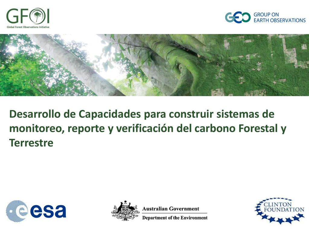 Desarrollo de Capacidades para construir sistemas de monitoreo, reporte y verificación del carbono Forestal y Terrestre