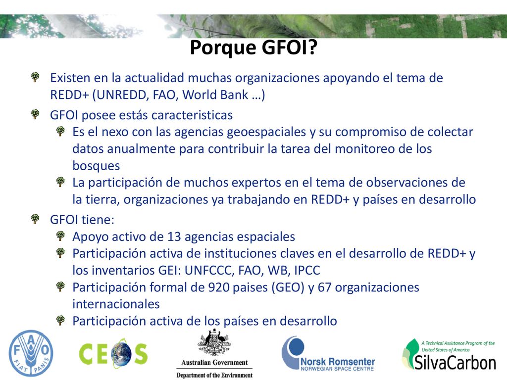 Porque GFOI Existen en la actualidad muchas organizaciones apoyando el tema de REDD+ (UNREDD, FAO, World Bank …)