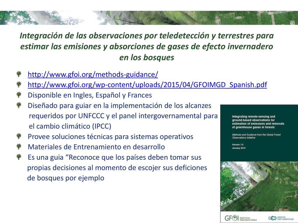 Integración de las observaciones por teledetección y terrestres para estimar las emisiones y absorciones de gases de efecto invernadero en los bosques