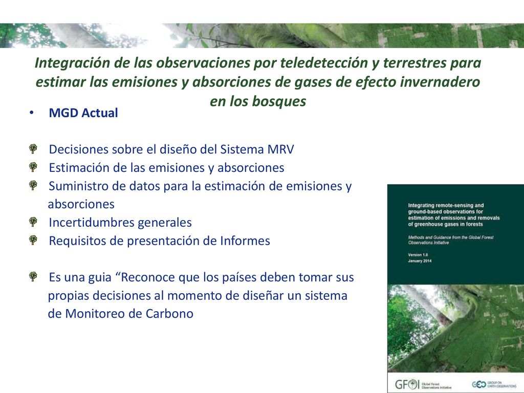 Integración de las observaciones por teledetección y terrestres para estimar las emisiones y absorciones de gases de efecto invernadero en los bosques