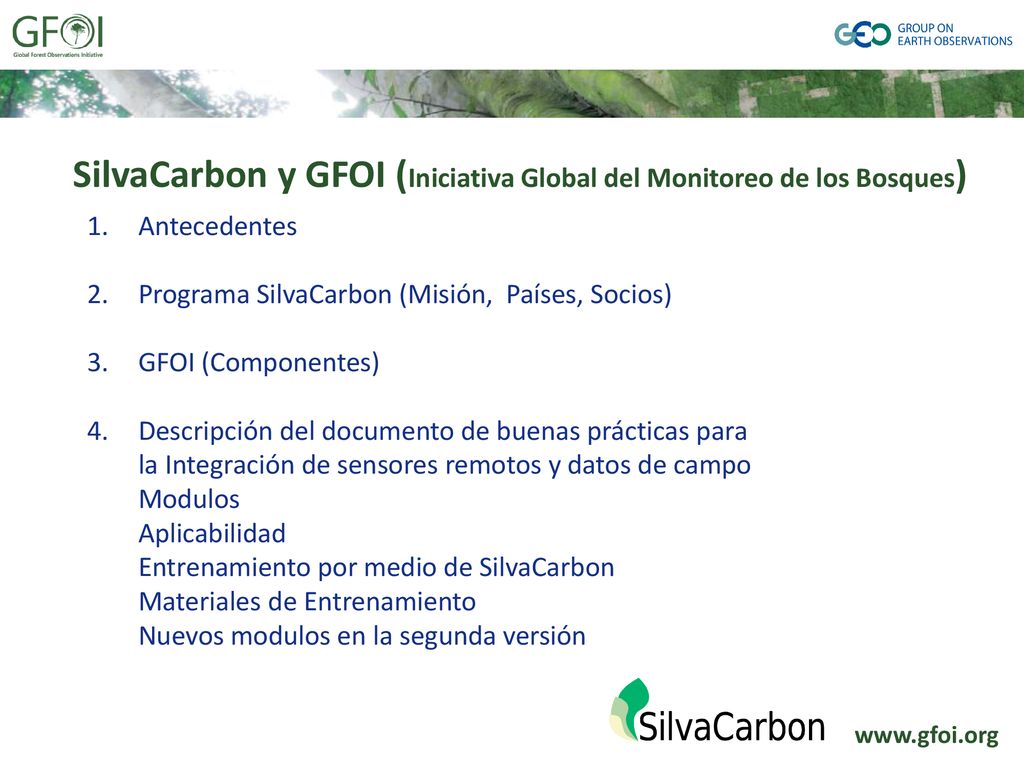 SilvaCarbon y GFOI (Iniciativa Global del Monitoreo de los Bosques)