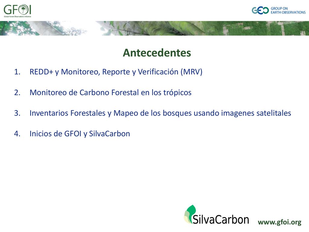 Antecedentes REDD+ y Monitoreo, Reporte y Verificación (MRV)