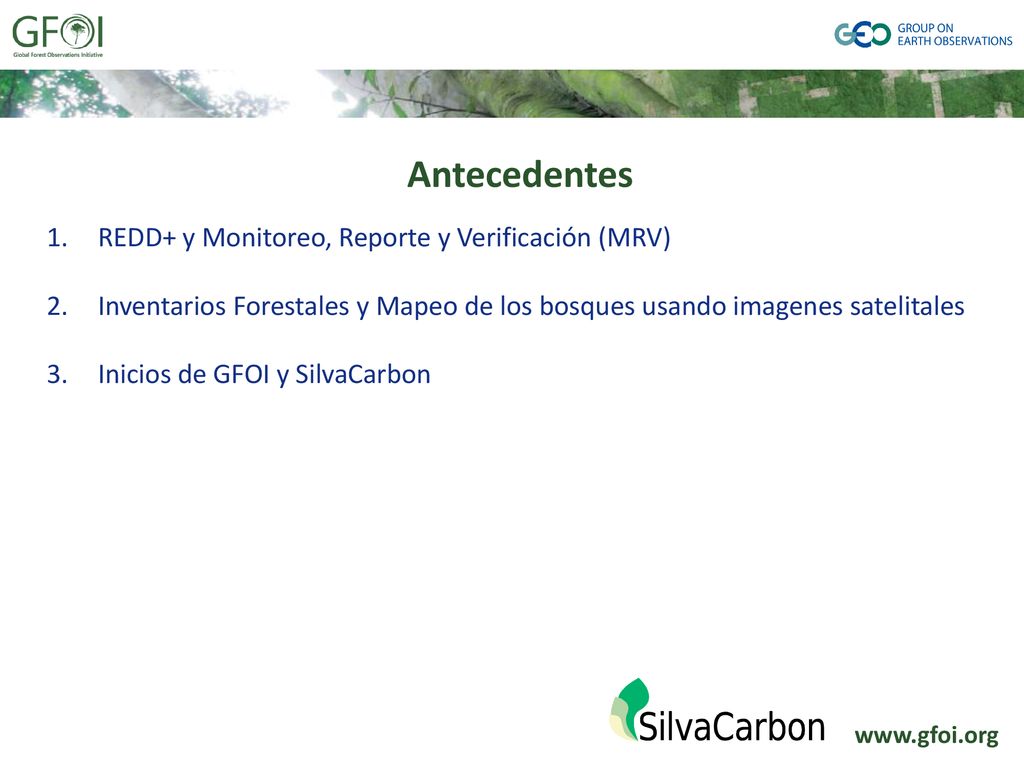 Antecedentes REDD+ y Monitoreo, Reporte y Verificación (MRV)