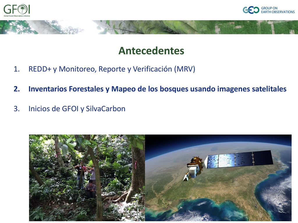 Antecedentes REDD+ y Monitoreo, Reporte y Verificación (MRV)