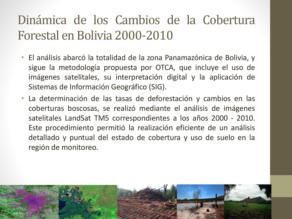 Dinámica de los Cambios de la Cobertura Forestal en Bolivia
