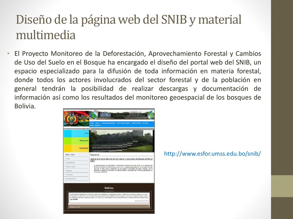 Diseño de la página web del SNIB y material multimedia