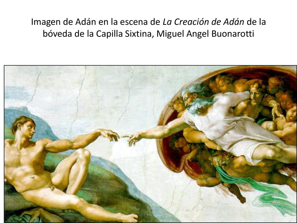 Imagen de Adán en la escena de La Creación de Adán de la bóveda de la Capilla Sixtina, Miguel Angel Buonarotti