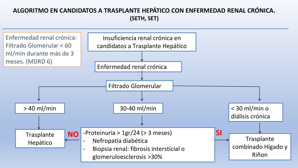 ALGORITMO EN CANDIDATOS A TRASPLANTE HEPÁTICO CON ENFERMEDAD RENAL CRÓNICA.
