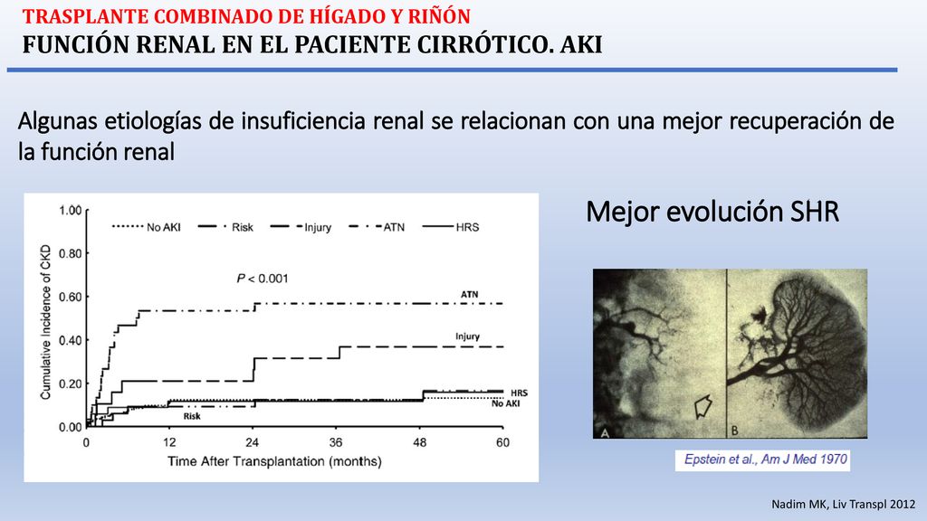 Mejor evolución SHR FUNCIÓN RENAL EN EL PACIENTE CIRRÓTICO. AKI