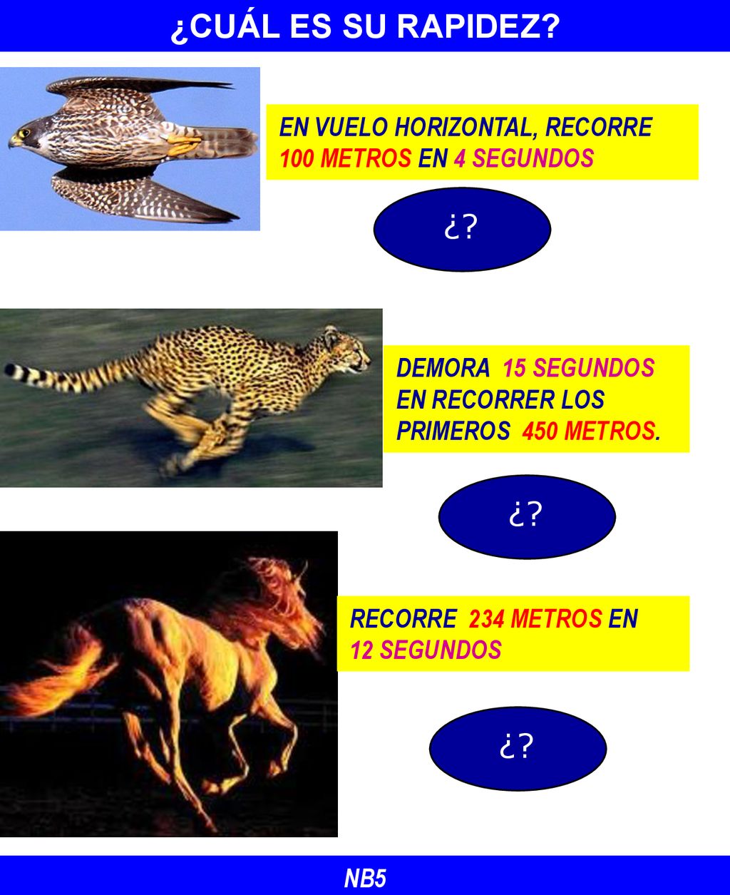 ¿CUÁL ES SU RAPIDEZ EN VUELO HORIZONTAL, RECORRE 100 METROS EN 4 SEGUNDOS. ¿ DEMORA 15 SEGUNDOS EN RECORRER LOS PRIMEROS 450 METROS.