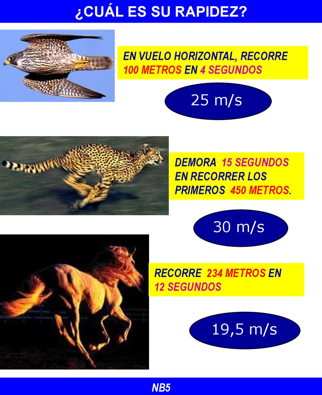 ¿CUÁL ES SU RAPIDEZ 30 m/s 19,5 m/s 25 m/s