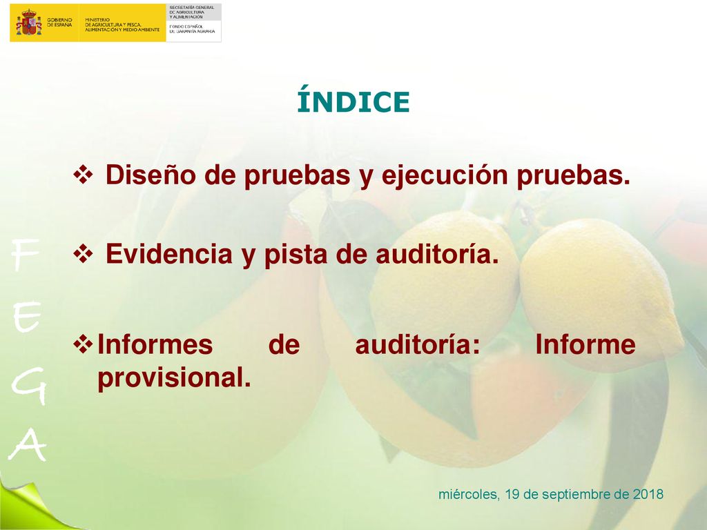 Diseño de pruebas y ejecución pruebas. Evidencia y pista de auditoría.