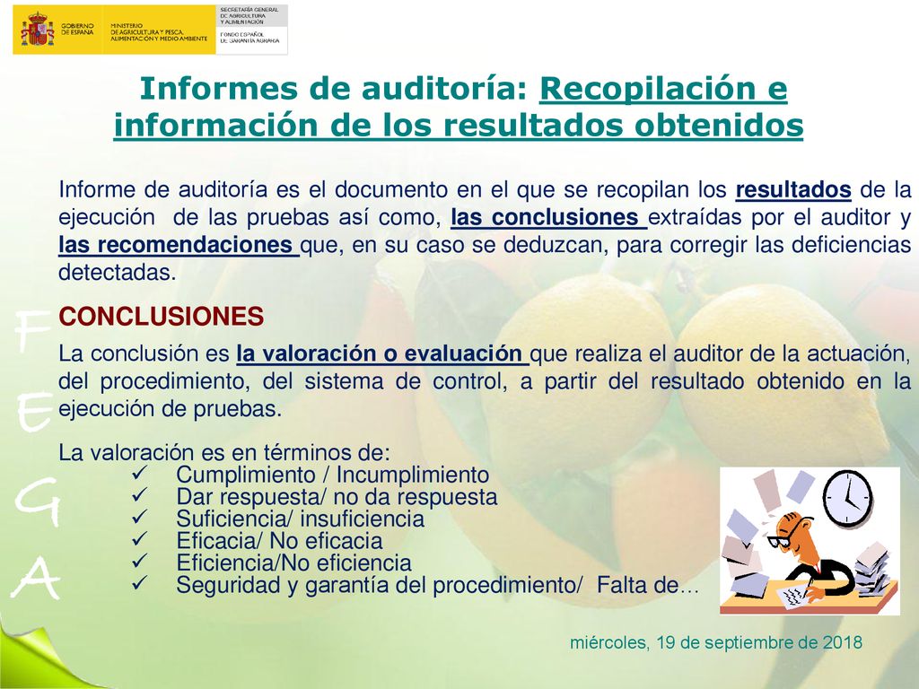 Informes de auditoría: Recopilación e información de los resultados obtenidos