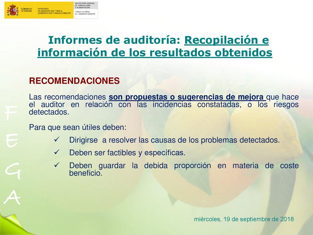 Informes de auditoría: Recopilación e información de los resultados obtenidos