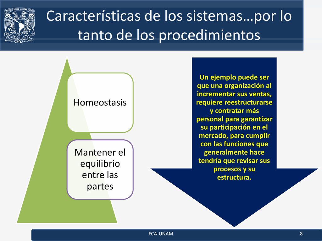 Características de los sistemas…por lo tanto de los procedimientos