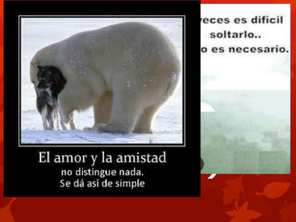 Ilustración: Del amor al odio, hay tan solo un paso