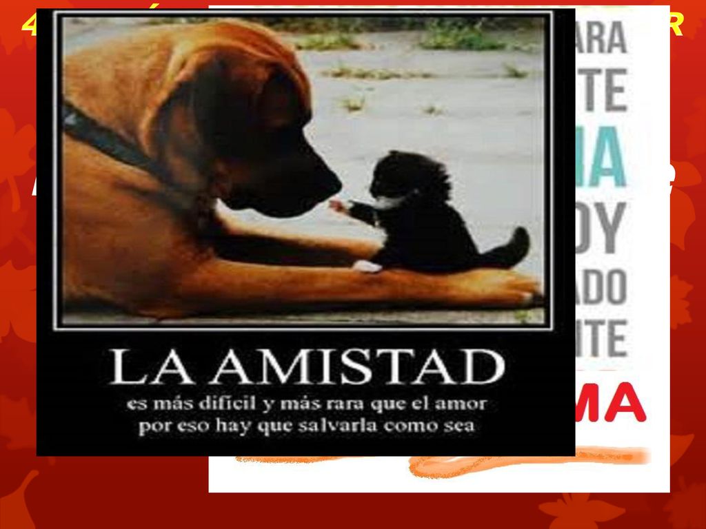 C. Comienza a buscar a Dios en oración desde hoy mismo (Hebreos 4:16)