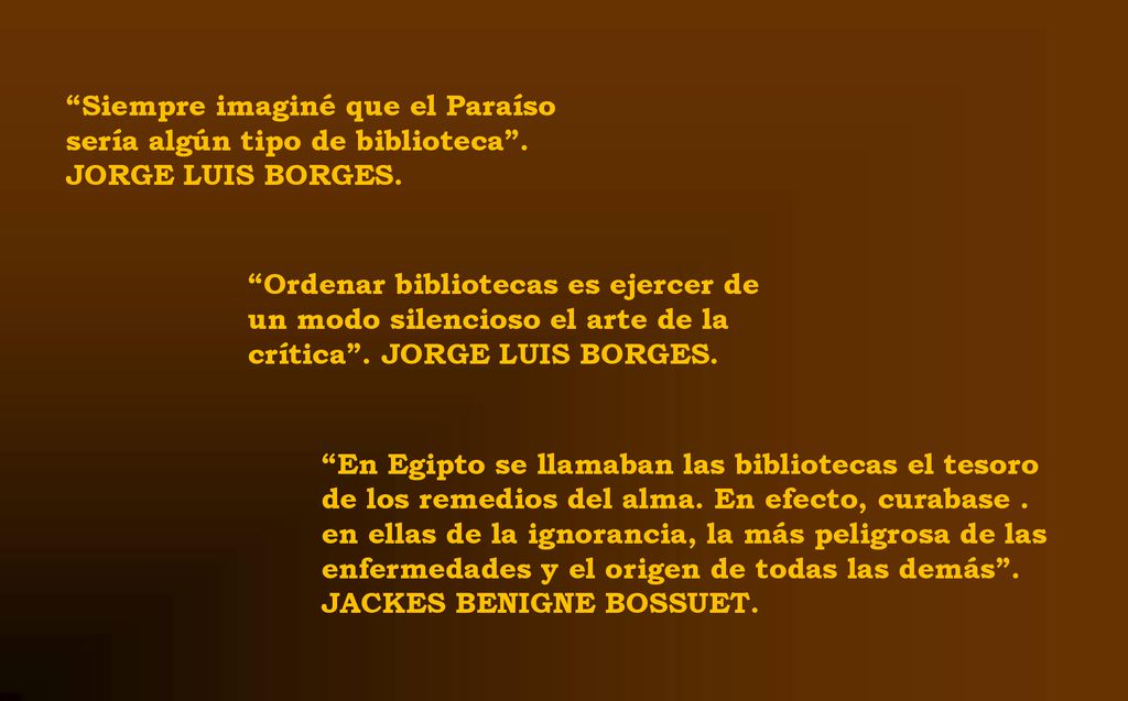 Siempre imaginé que el Paraíso sería algún tipo de biblioteca