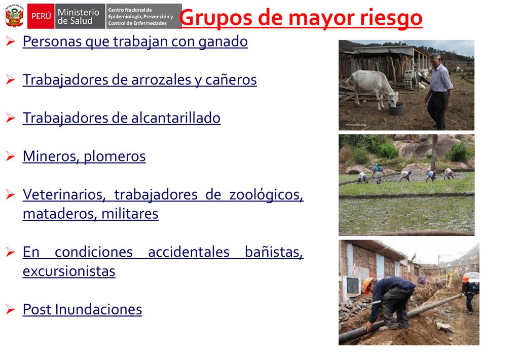 Grupos de mayor riesgo Personas que trabajan con ganado
