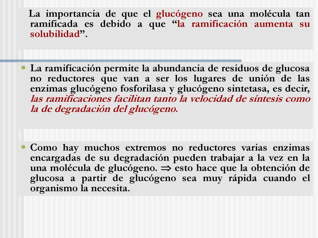 La importancia de que el glucógeno sea una molécula tan ramificada es debido a que la ramificación aumenta su solubilidad .