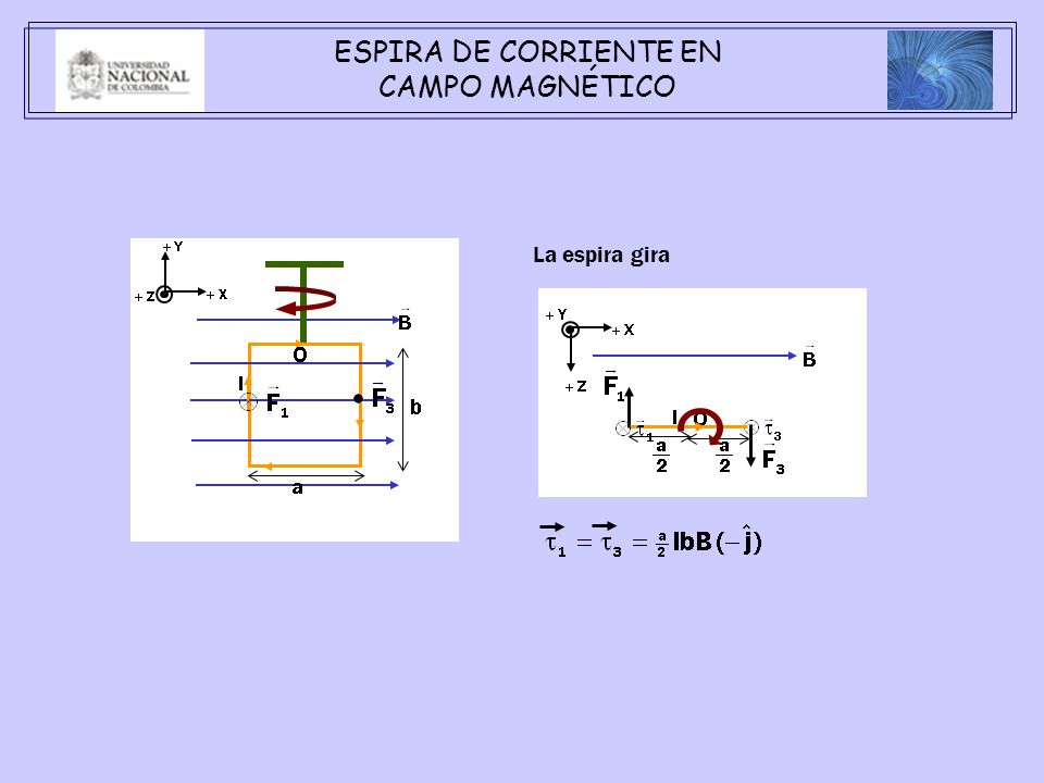 ESPIRA DE CORRIENTE EN CAMPO MAGNÉTICO La espira gira