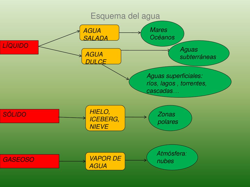 Esquema del agua Mares AGUA SALADA Océanos LÍQUIDO Aguas subterráneas