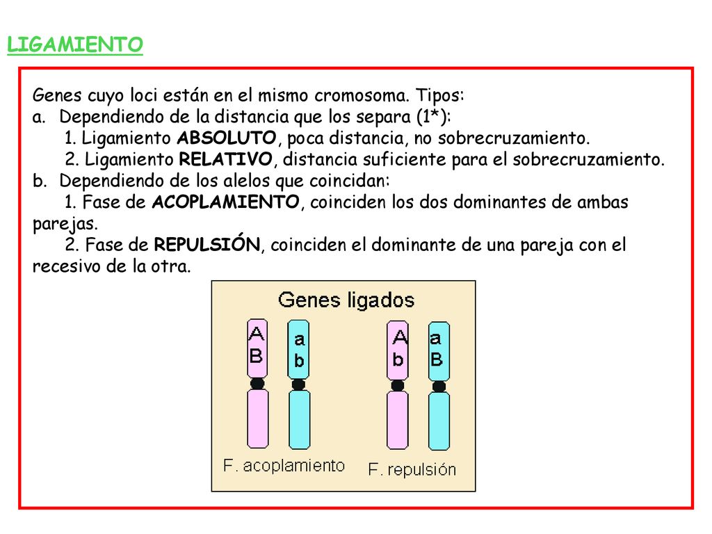 LIGAMIENTO Genes cuyo loci están en el mismo cromosoma. Tipos: