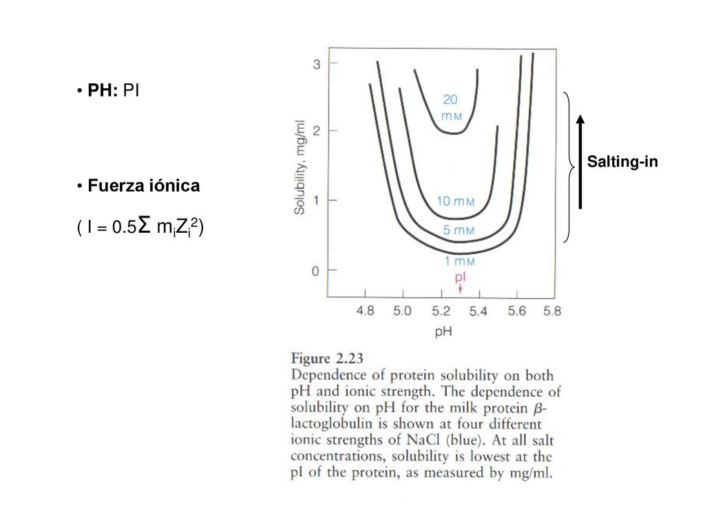 PH: PI Fuerza iónica ( I = 0.5Σ miZi2) Salting-in