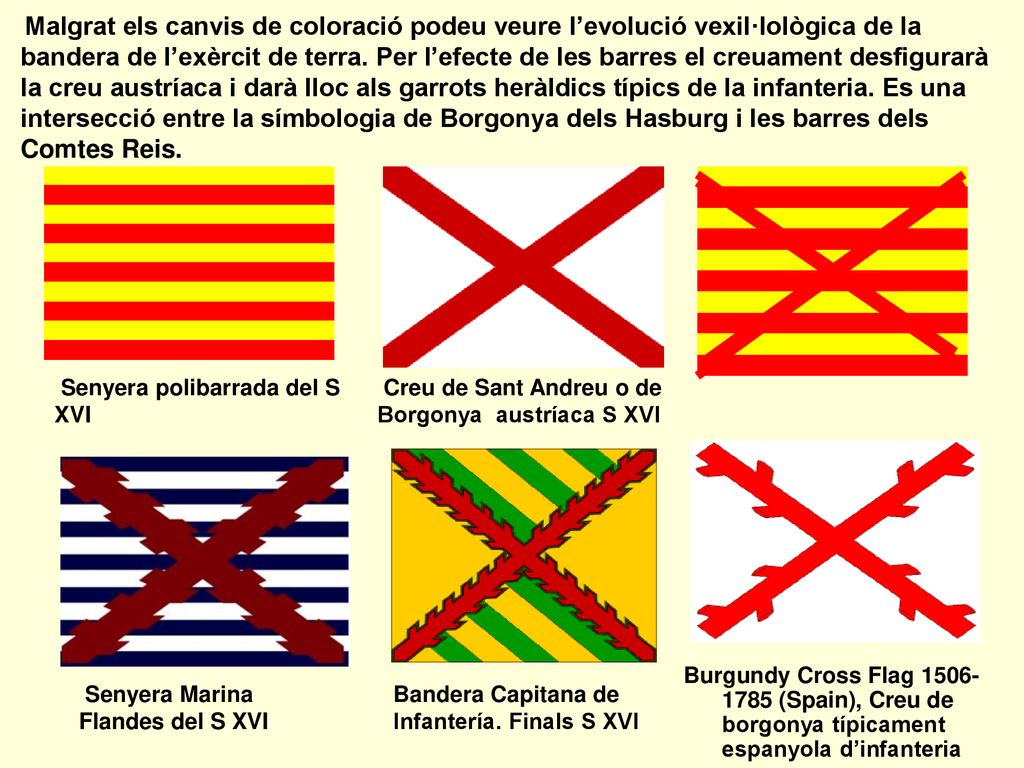 Malgrat els canvis de coloració podeu veure l’evolució vexil·lològica de la bandera de l’exèrcit de terra. Per l’efecte de les barres el creuament desfigurarà la creu austríaca i darà lloc als garrots heràldics típics de la infanteria. Es una intersecció entre la símbologia de Borgonya dels Hasburg i les barres dels Comtes Reis.