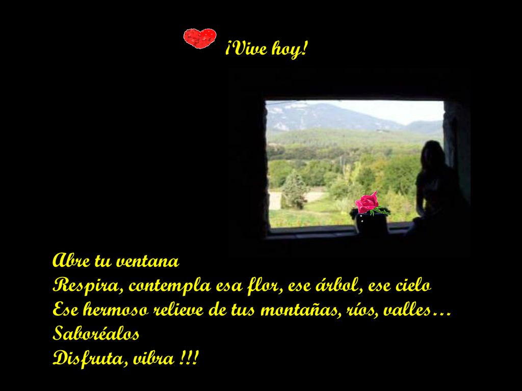 ¡Vive hoy! Abre tu ventana. Respira, contempla esa flor, ese árbol, ese cielo. Ese hermoso relieve de tus montañas, ríos, valles…
