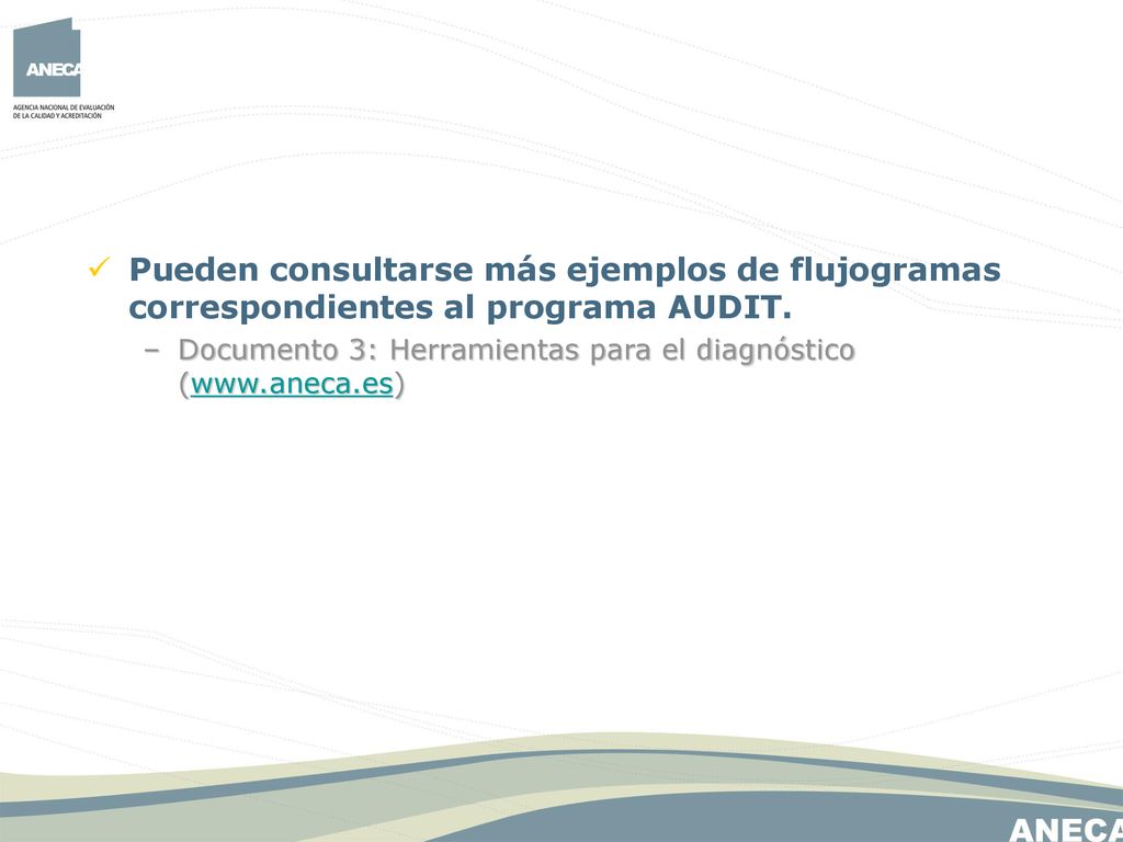 Pueden consultarse más ejemplos de flujogramas correspondientes al programa AUDIT.