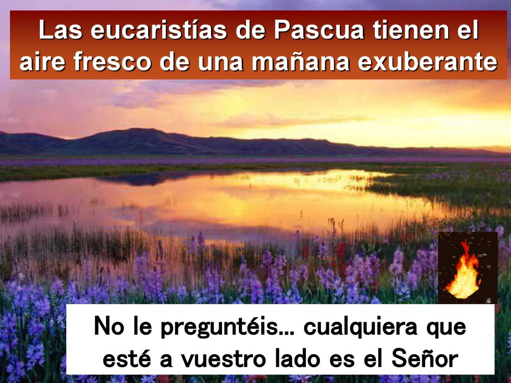 No le preguntéis... cualquiera que esté a vuestro lado es el Señor