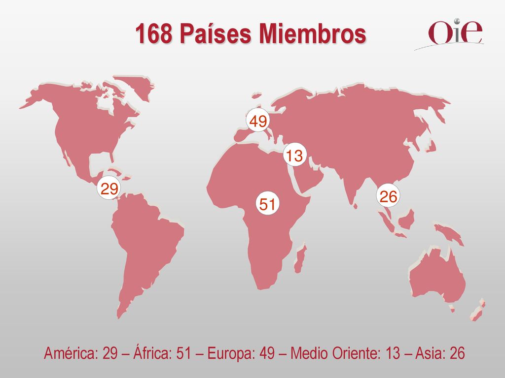 América: 29 – África: 51 – Europa: 49 – Medio Oriente: 13 – Asia: 26