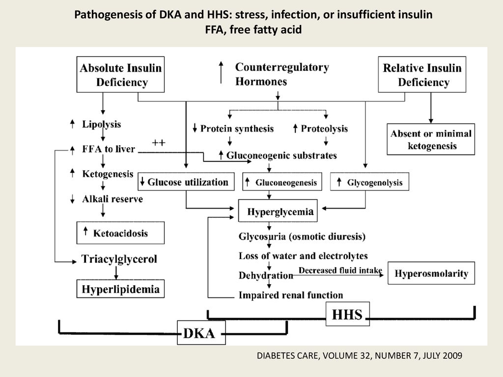 Pathogenesis of DKA and HHS: stress, infection, or insufficient insulin