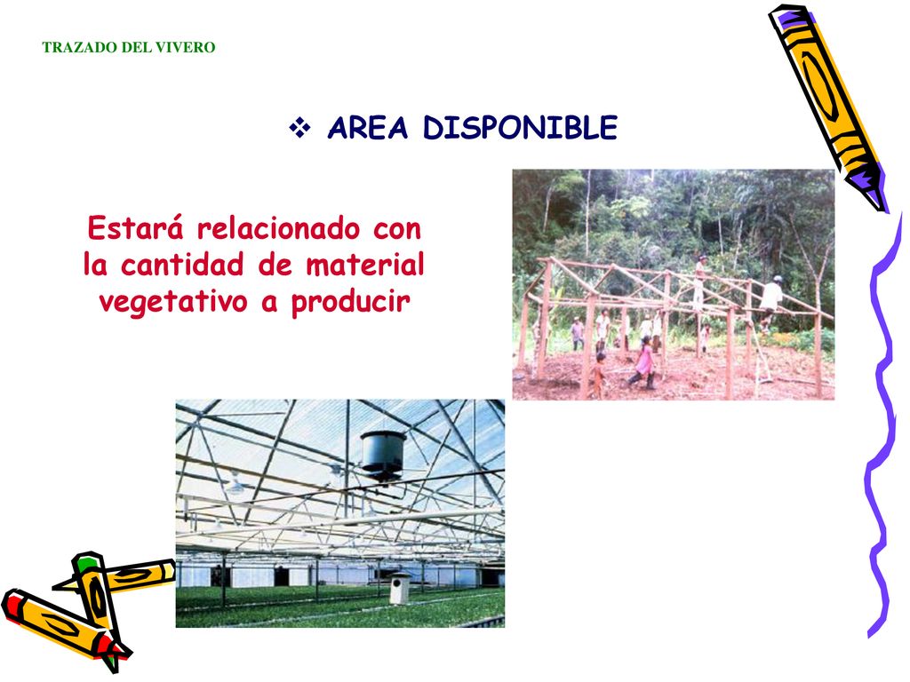 Estará relacionado con la cantidad de material vegetativo a producir