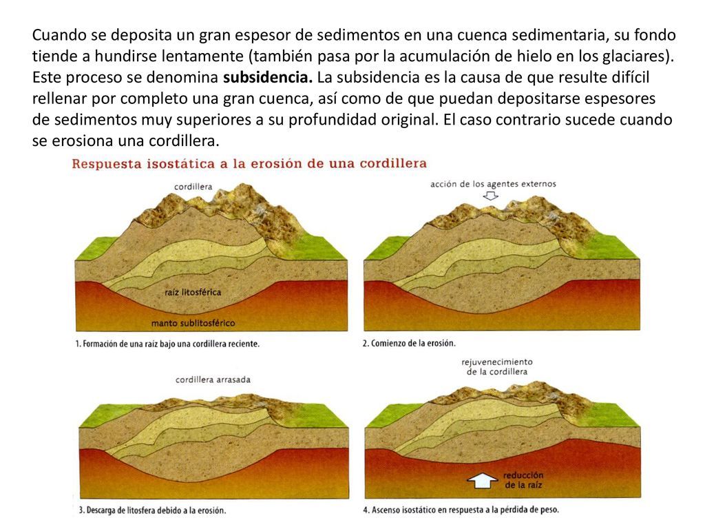 Cuando se deposita un gran espesor de sedimentos en una cuenca sedimentaria, su fondo tiende a hundirse lentamente (también pasa por la acumulación de hielo en los glaciares).