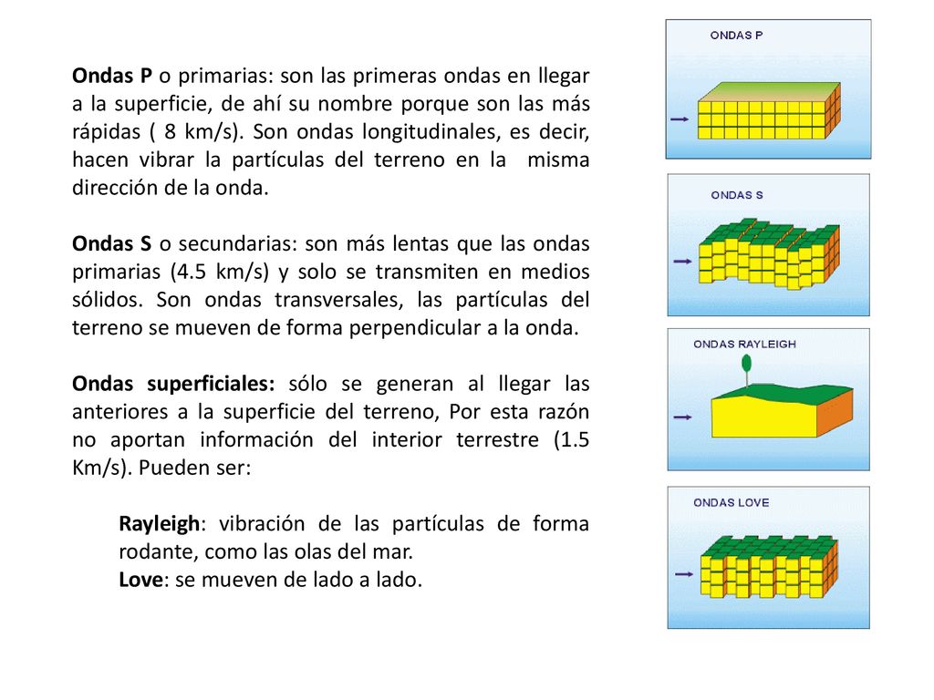 Ondas P o primarias: son las primeras ondas en llegar a la superficie, de ahí su nombre porque son las más rápidas ( 8 km/s). Son ondas longitudinales, es decir, hacen vibrar la partículas del terreno en la misma dirección de la onda.
