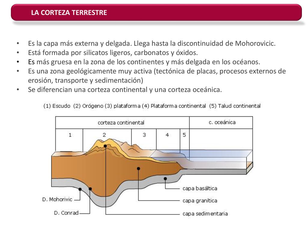 LA CORTEZA TERRESTRE Es la capa más externa y delgada. Llega hasta la discontinuidad de Mohorovicic.