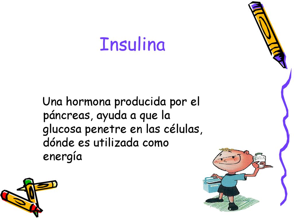Insulina Una hormona producida por el páncreas, ayuda a que la glucosa penetre en las células, dónde es utilizada como energía.