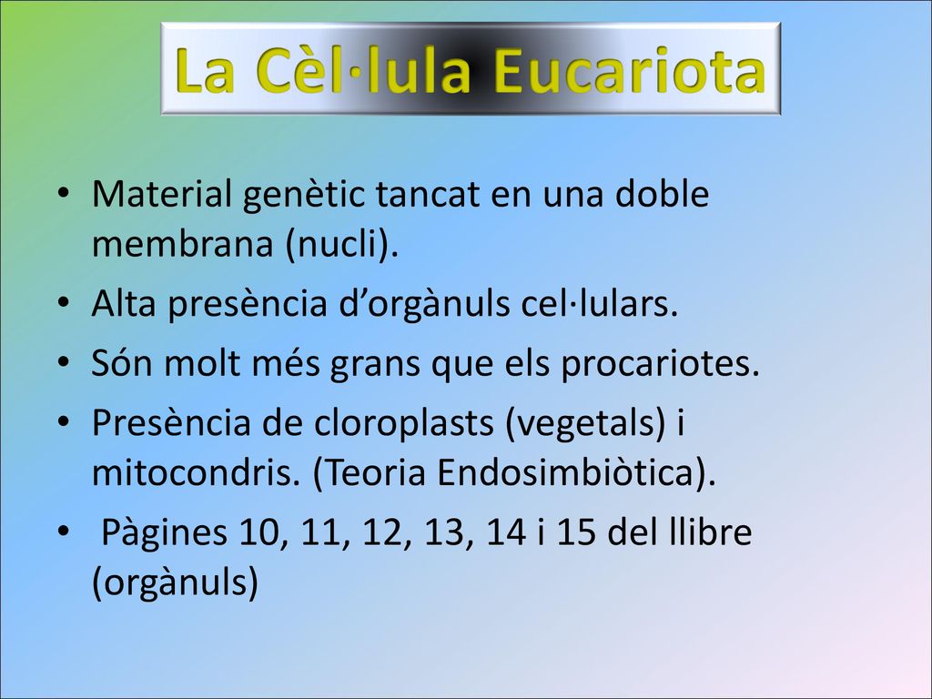 La Cèl·lula Eucariota Material genètic tancat en una doble membrana (nucli). Alta presència d’orgànuls cel·lulars.
