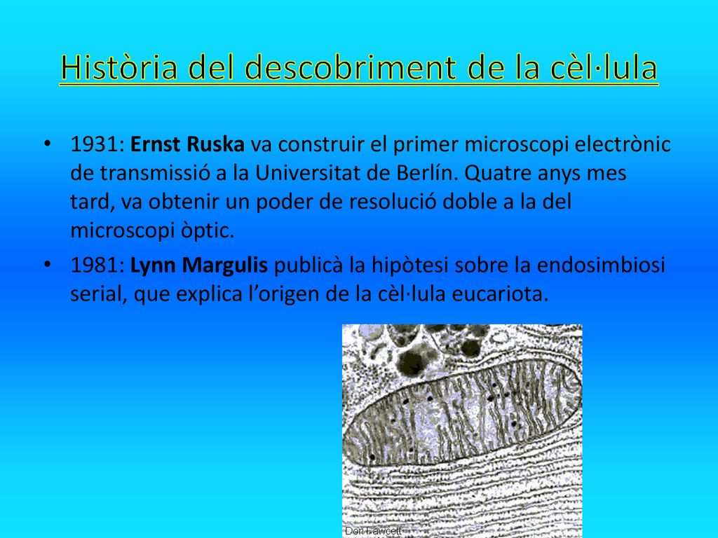 1931: Ernst Ruska va construir el primer microscopi electrònic de transmissió a la Universitat de Berlín. Quatre anys mes tard, va obtenir un poder de resolució doble a la del microscopi òptic.